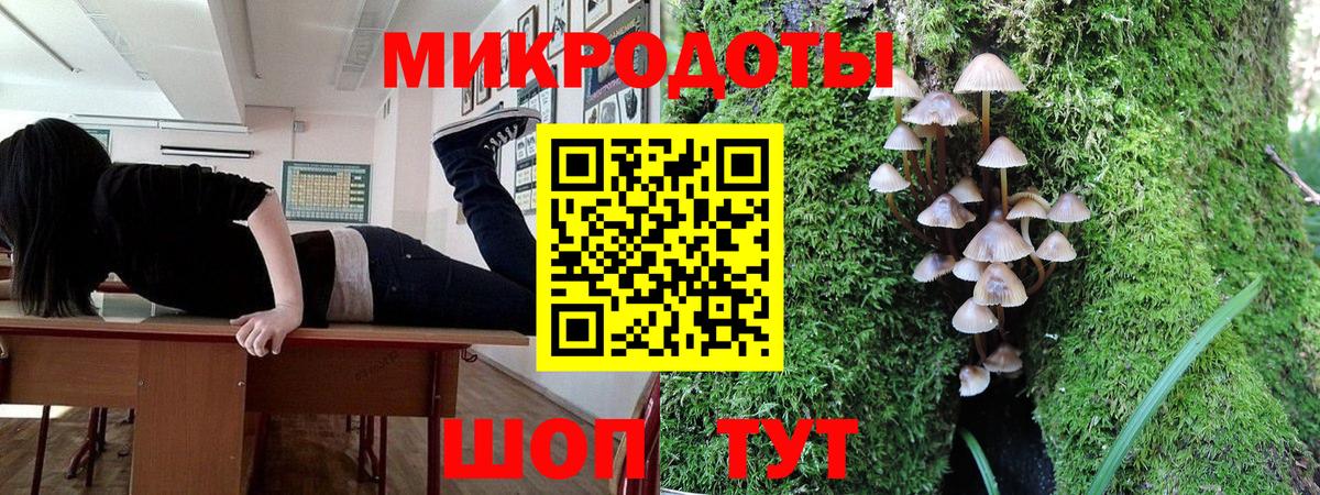 Донской  Псилоцибиновые грибы мицелий  Псилоцибиновые грибы GOLDEN TEACHER  Вход с VPN 