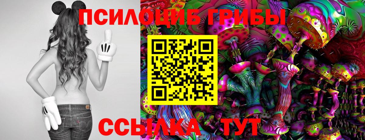 Галлюциногенные грибы мухоморы Донской